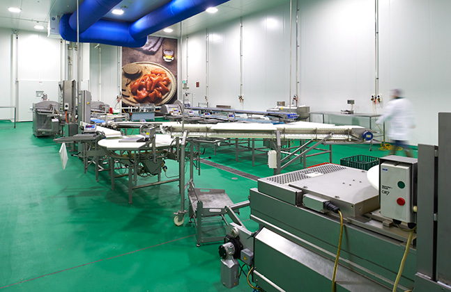 Antimicrobial Flooring